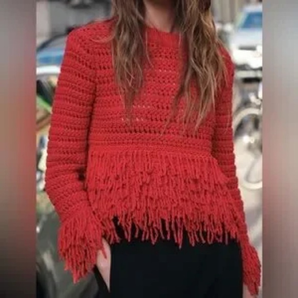 Zara Fringed Sweater - Picture 2 of 2